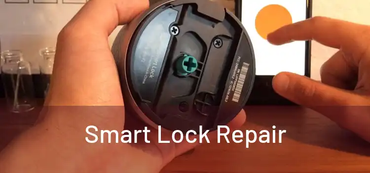 Smart Lock Repair